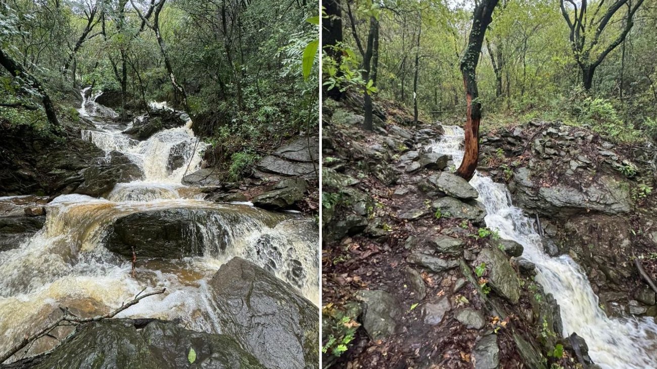 Formato_Portada_EH_2024_06_21_T091201_828_458afbeaba