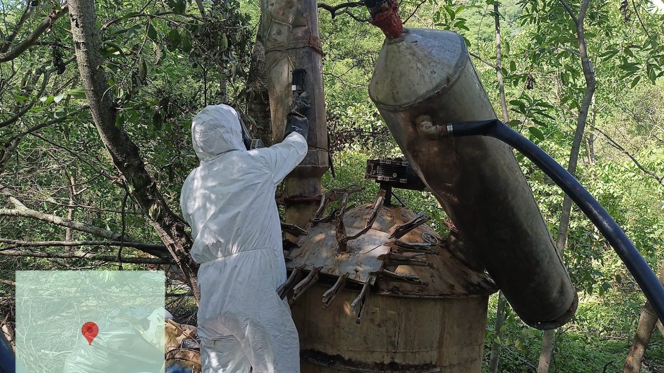 Asegura Sedena $6,000 millones de pesos en drogas en Durango