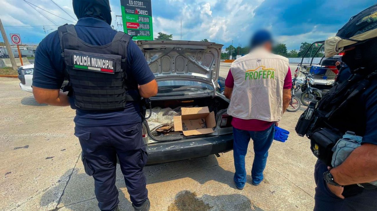 G1km_KF_Hao_AID_Brz_2a3fe2cf0f