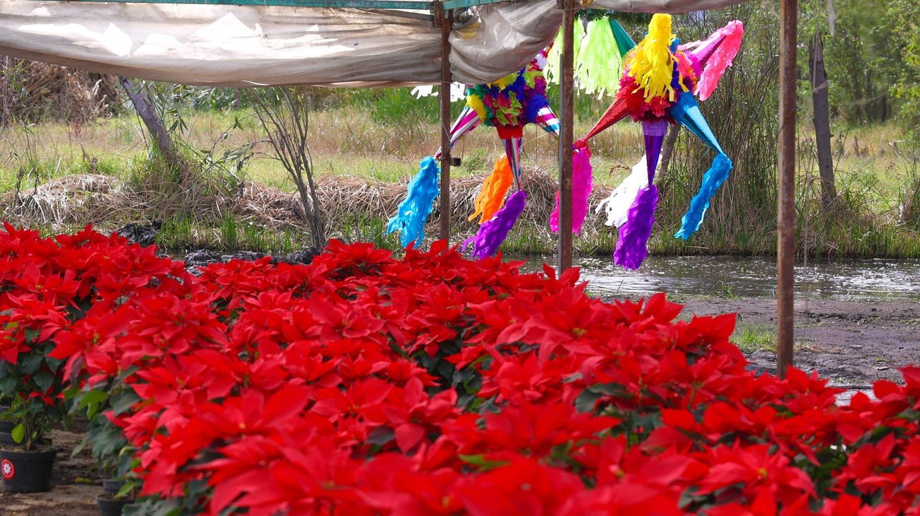 G6yyf_TC_Xk_A_Ekm_O1_b37c45d6db