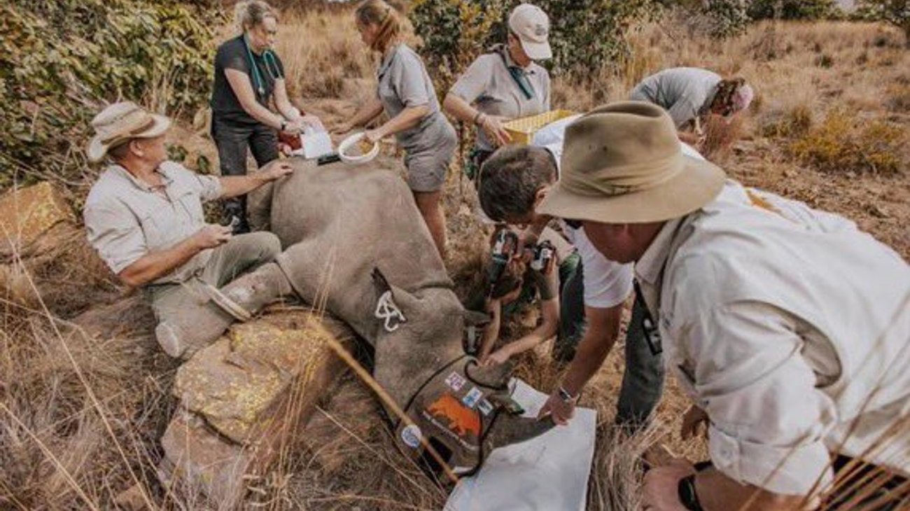 Gcnk_N7y_Wo_A_Asq_Bu_41b6ca42db