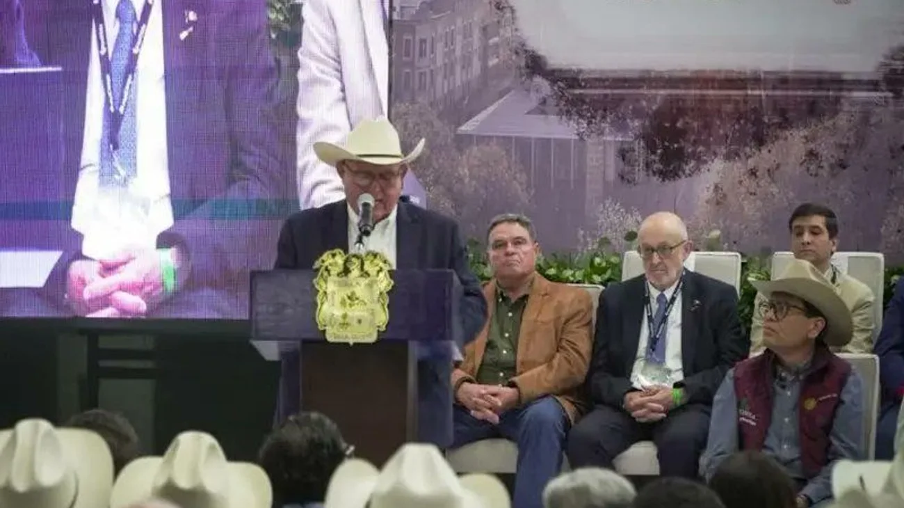 Gq_OO_56_W0_AA_6_CM_e09d10dc78