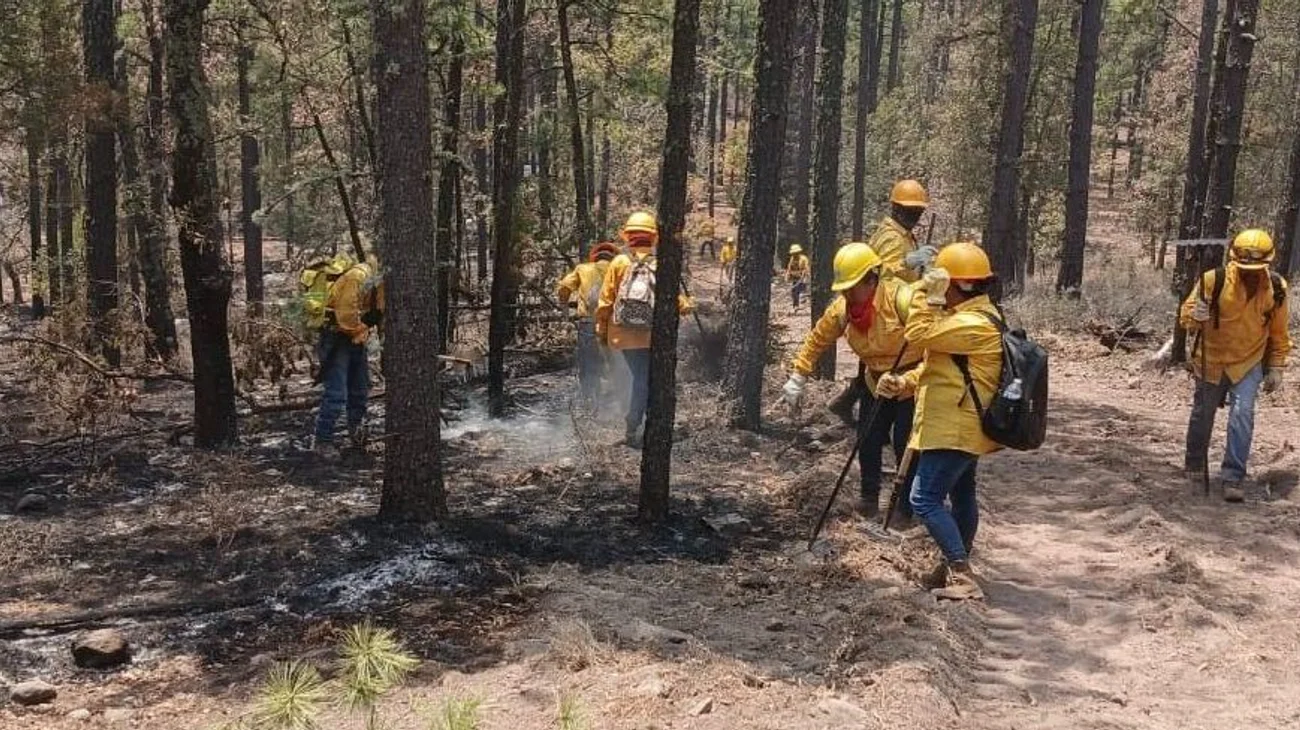 Lluvias en Chihuahua 'ayudan' a sofocar incendios forestales