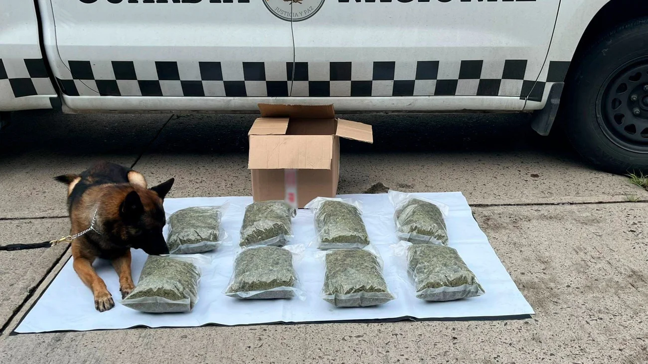 Gu_Tn_K0_YW_0_A_Aa_0v_59633e9b24