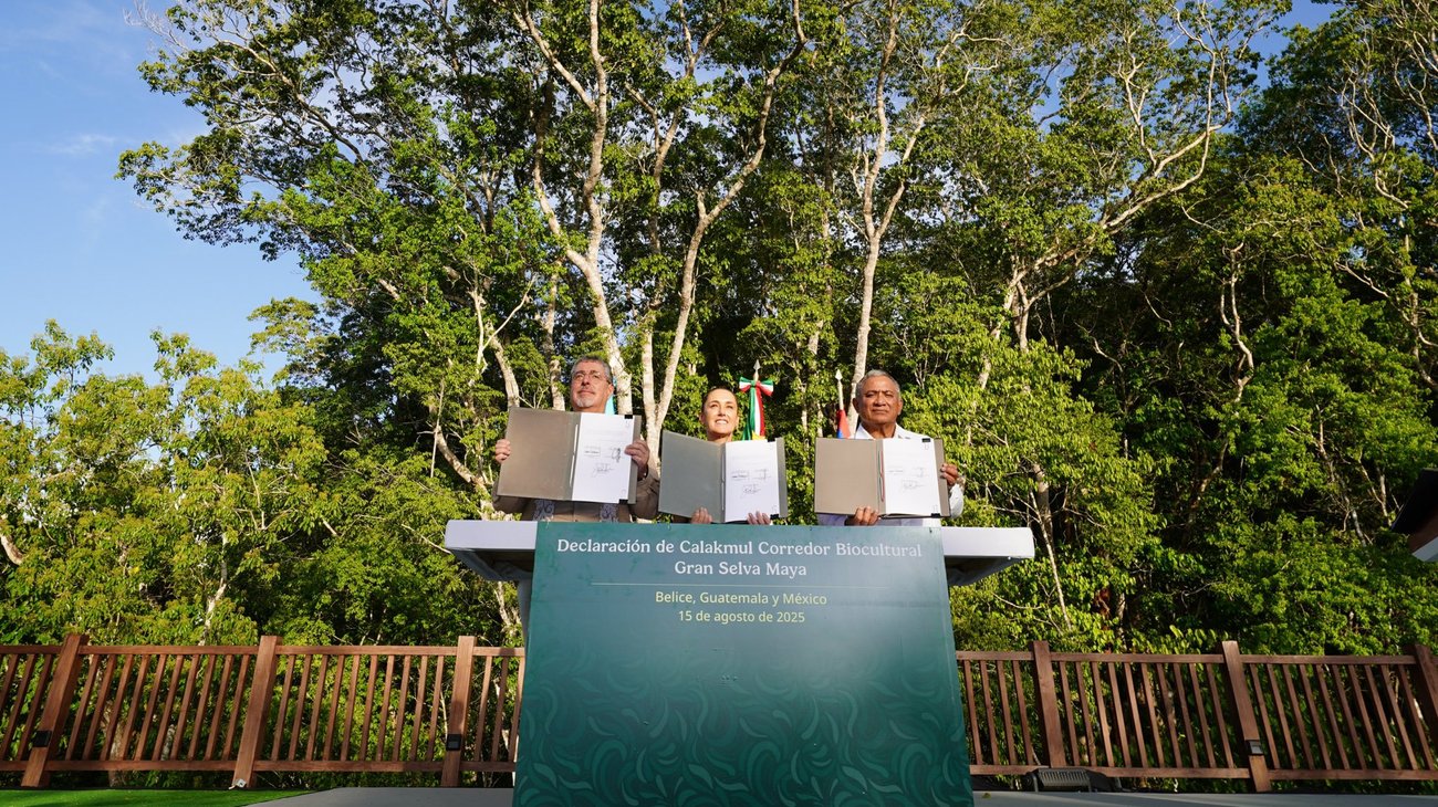 Gyboj_YJWQAA_4rq2_e4d3f41327