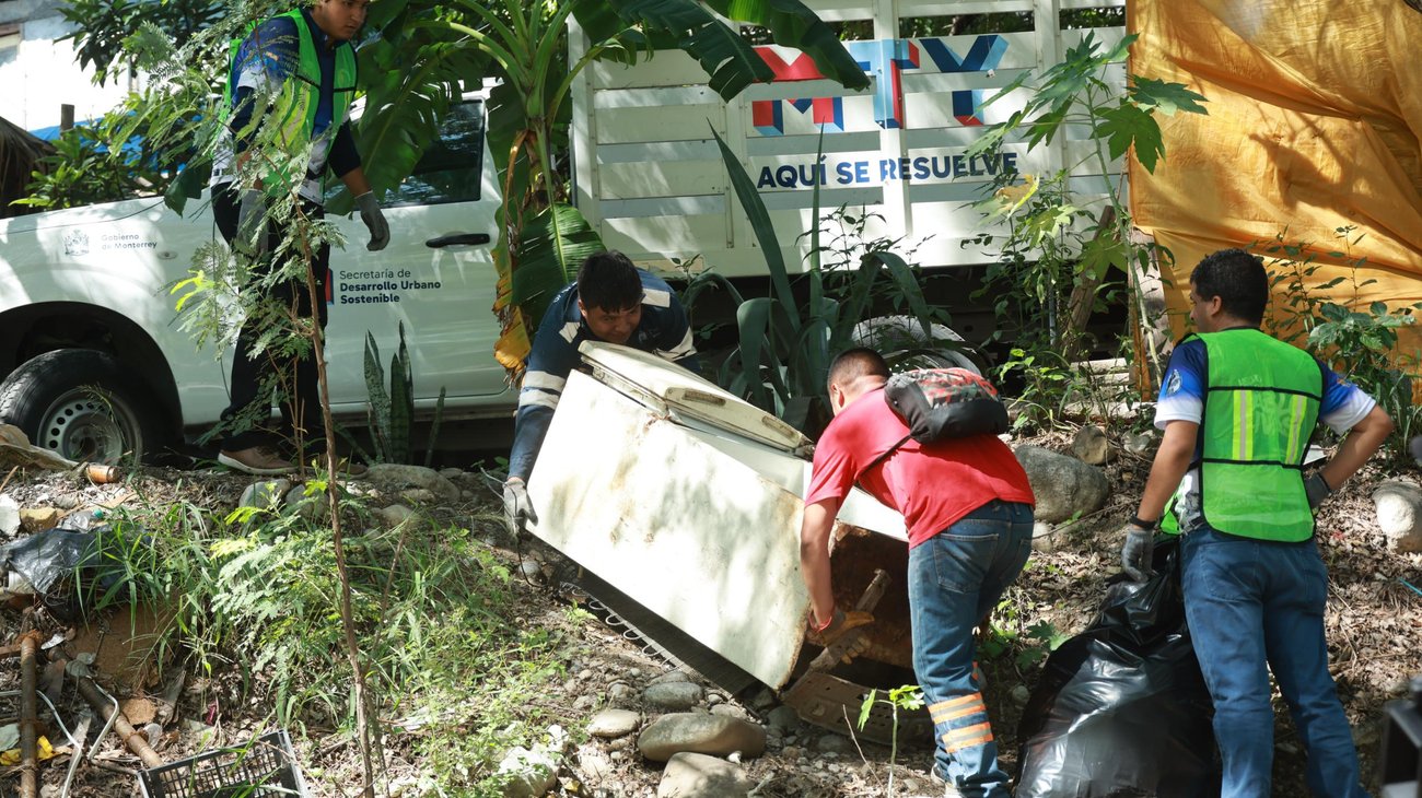 Gzo52_Ur_Wg_A_Ag_Tm4_a543744ceb