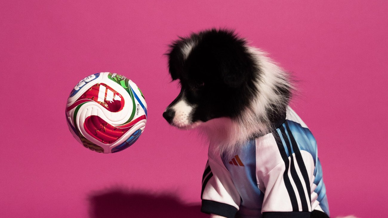 ¡Mascotas también juegan el Mundial!: nueva colección de jerseys