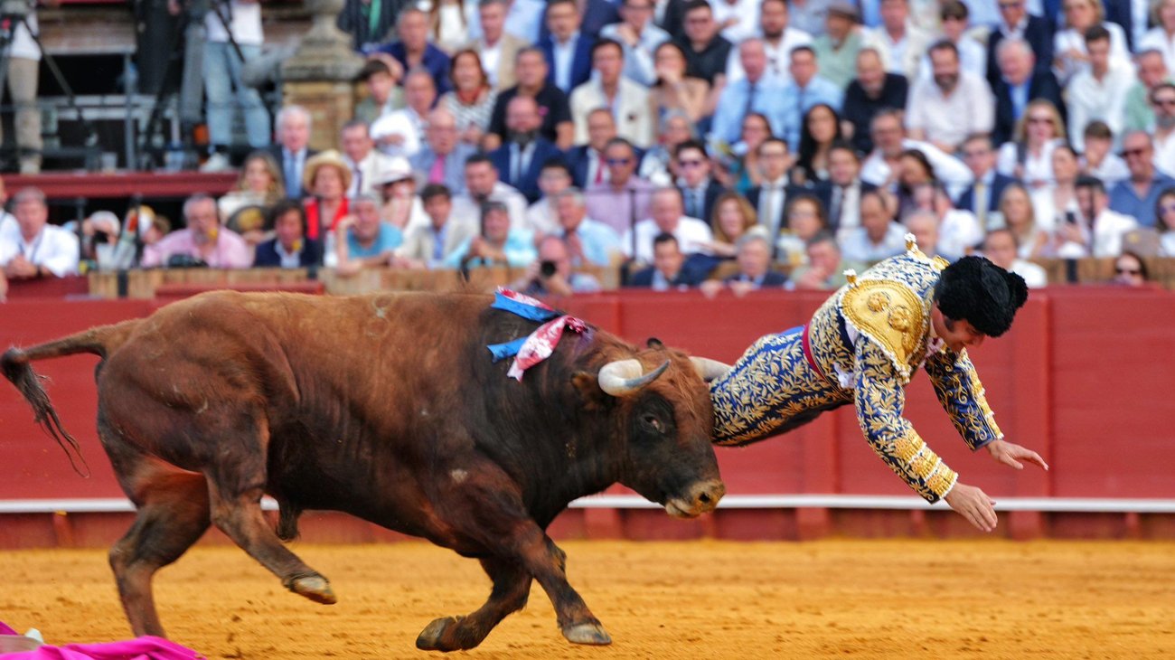 Morante de la Puebla sufre cornada y su pronóstico es 'muy grave'