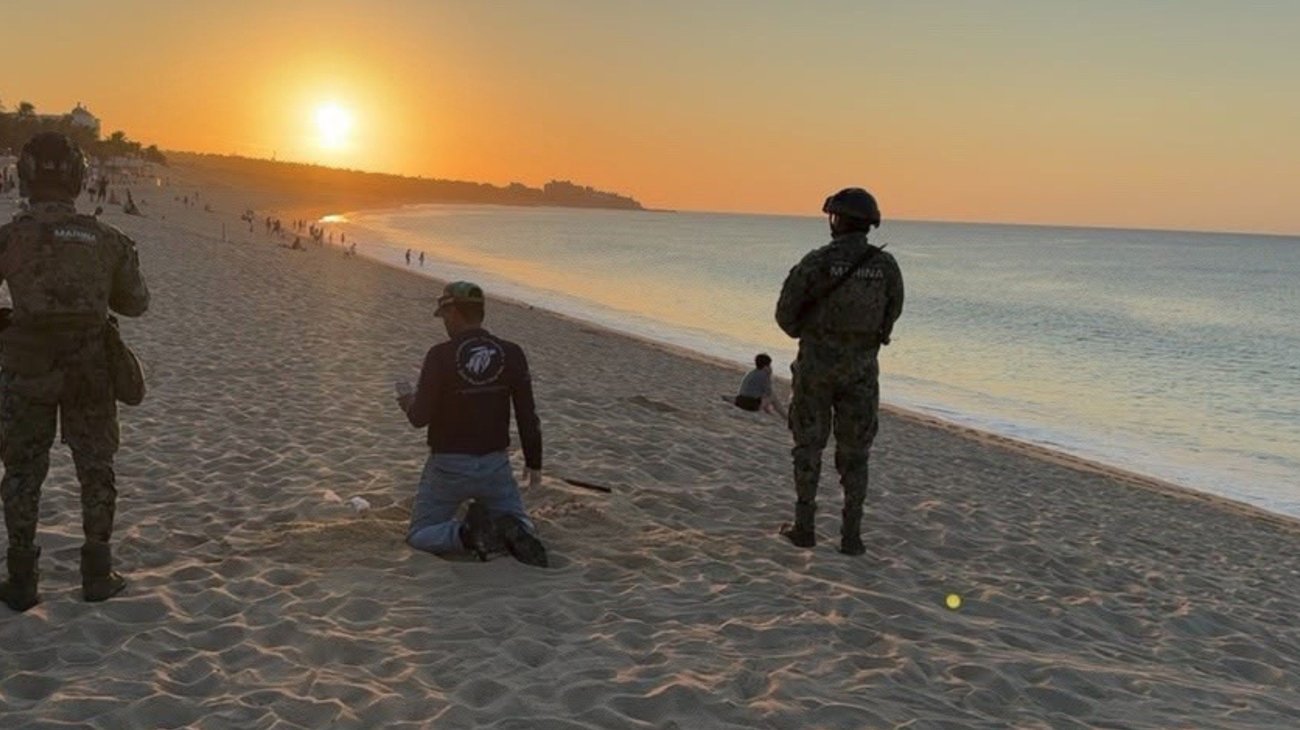 Rescatan 202 huevos de tortuga golfina en Guerrero