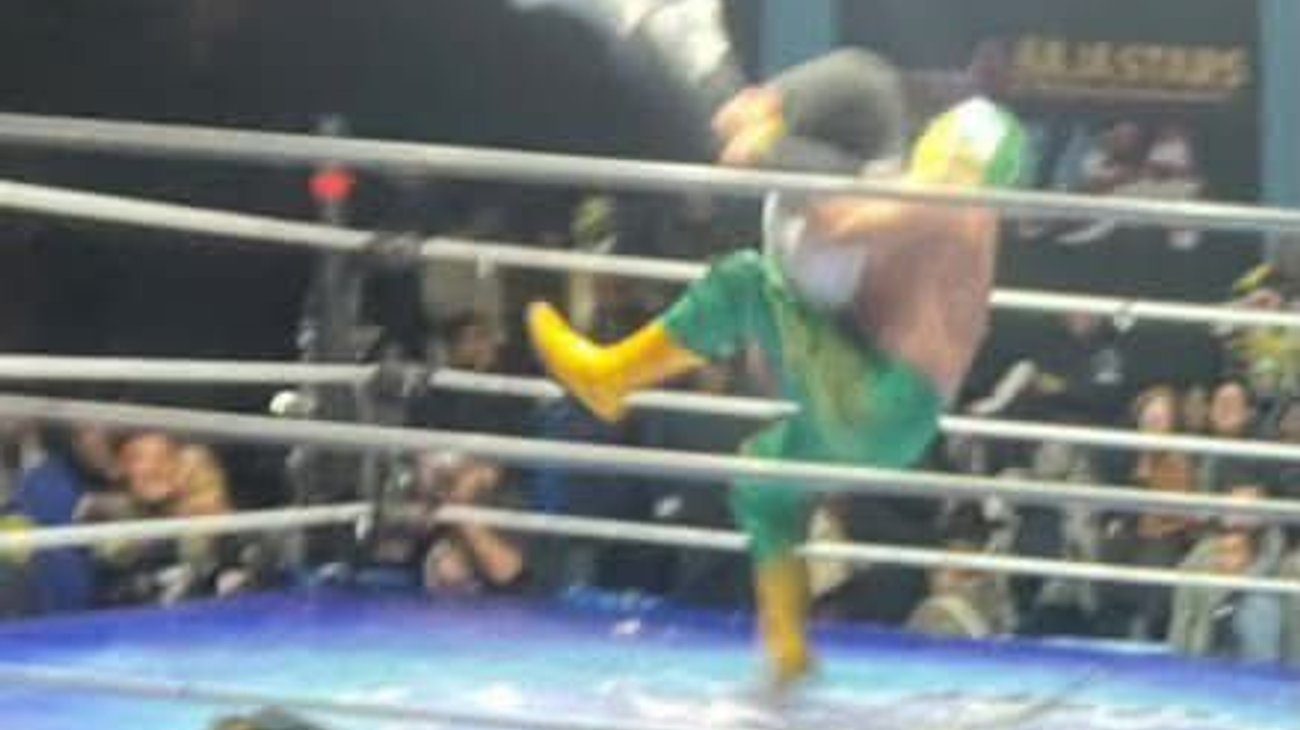 Muere referi en función de lucha libre tras recibir un martinete