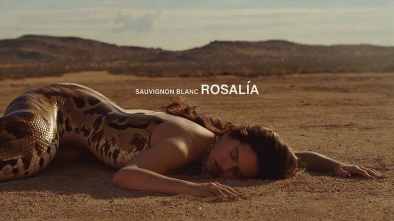 H_Avk_NK_Ya_AA_Ecm_Pp_107886841b