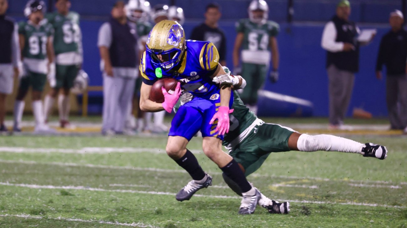 H_Flod2z_WYA_Aj_Z3k_976e7906df