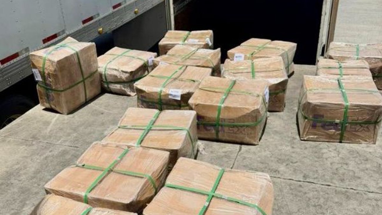 Aseguran cargamento de tepezcohuite; se dirigía a Gran Bretaña