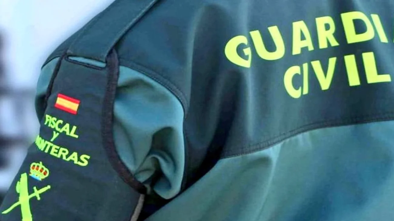 Hallan_32_perros_muertos_por_desnutricion_en_una_finca_en_Espana_95c4b11915