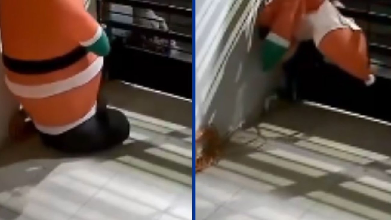 VIDEO: Hombre roba inflable navideño ¡en dos minutos!