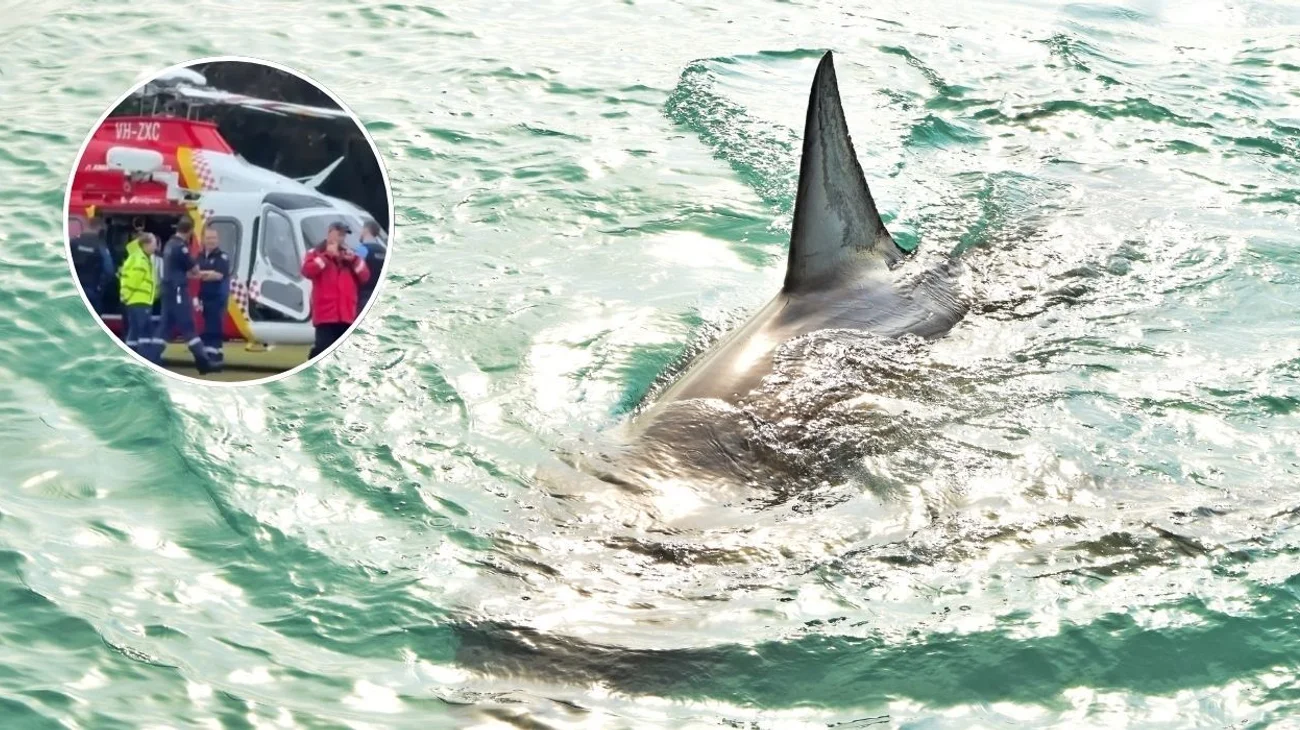 Hospitalizan a adolescente por ataque de tiburón en Australia