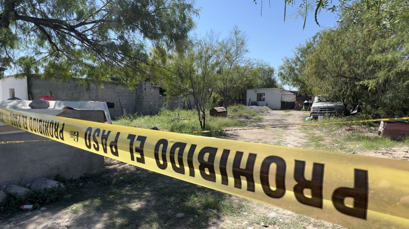 Rescatan 63 perros con signos de abandono en Castaños, Coahuila