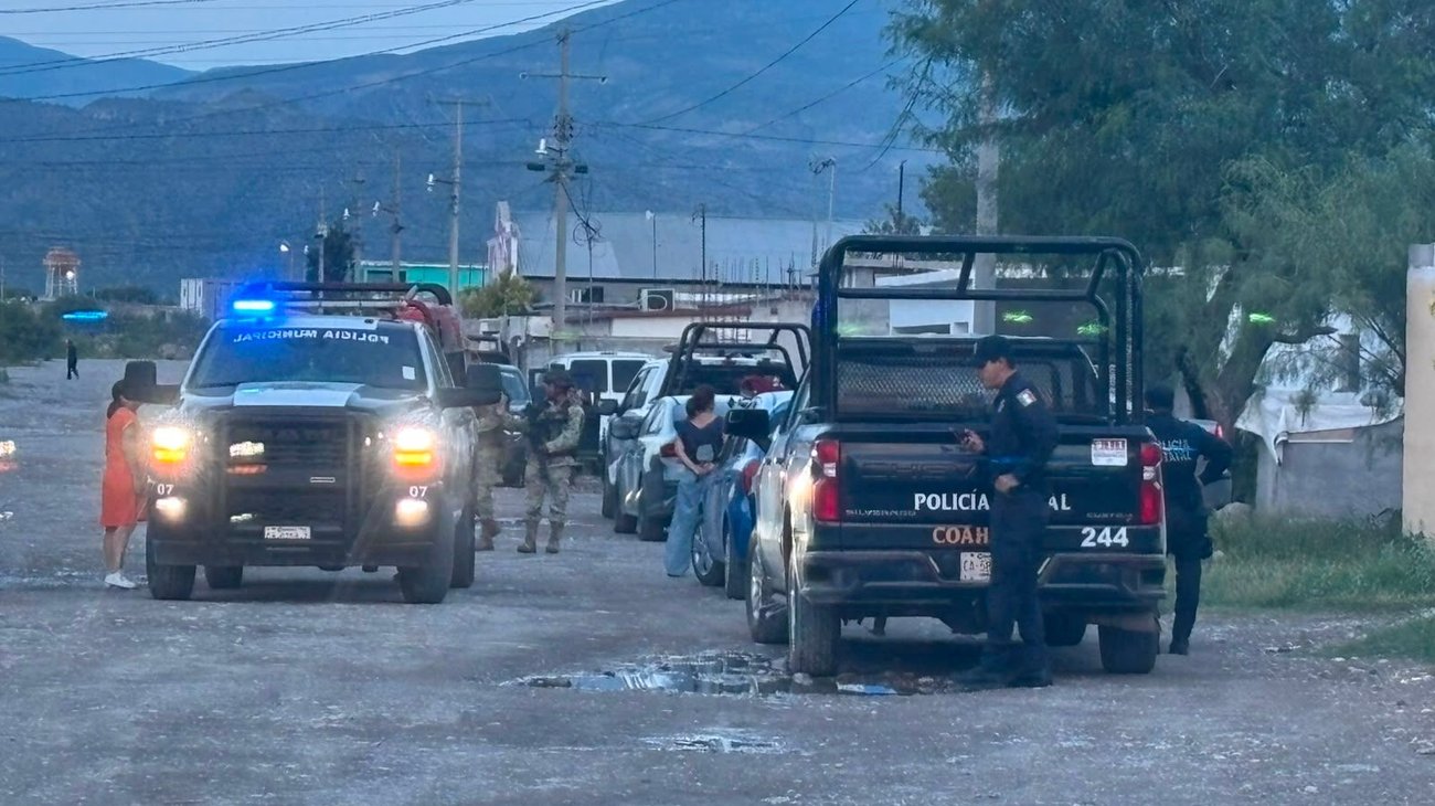 Siguen abiertas investigaciones por rescate de 53 perros