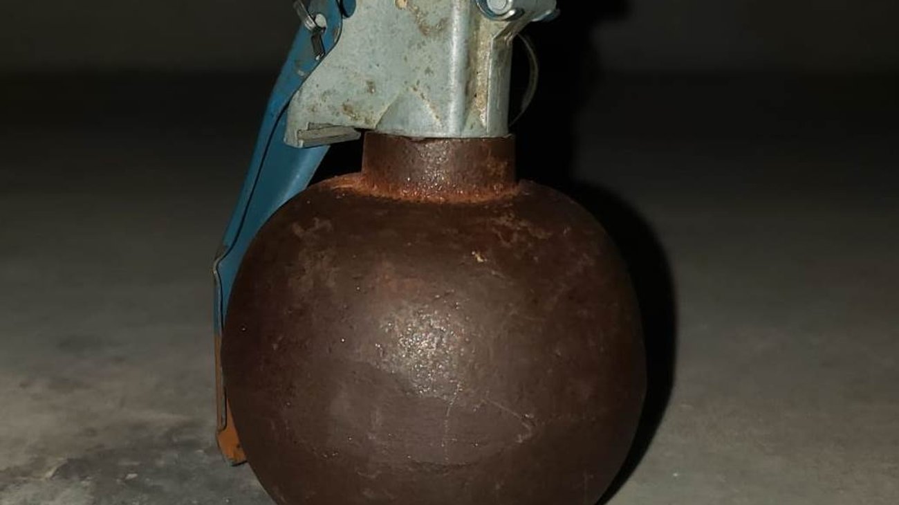 Detienen a dos hombres con granada y armas en la Alameda