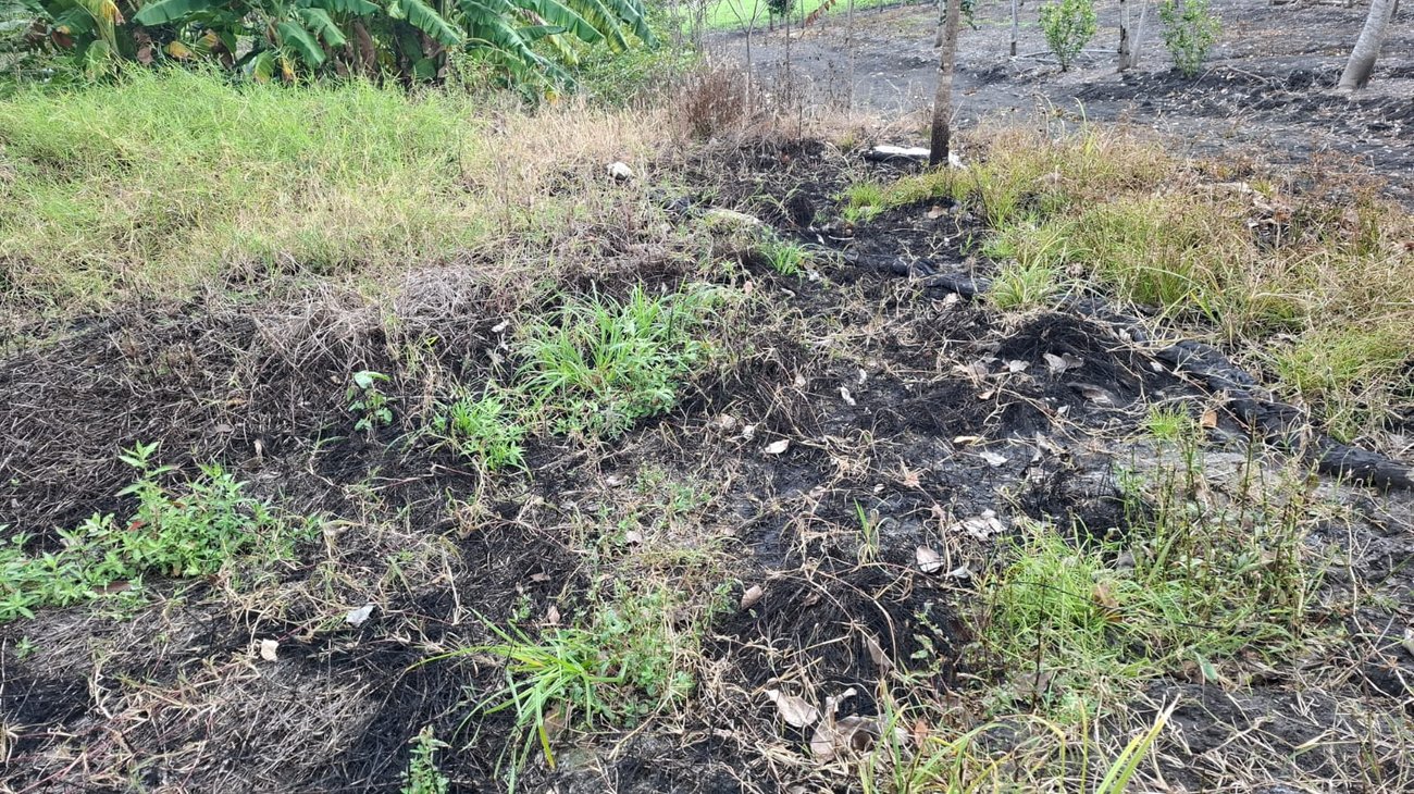 IMG_20260209_WA_0434_ede7e69109