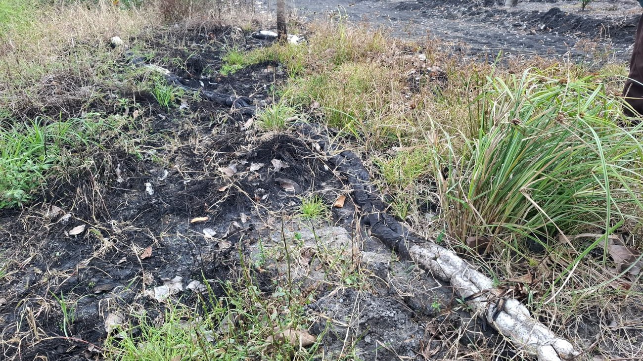 Derrames de hidrocarburos contaminan zona rural de Altamira