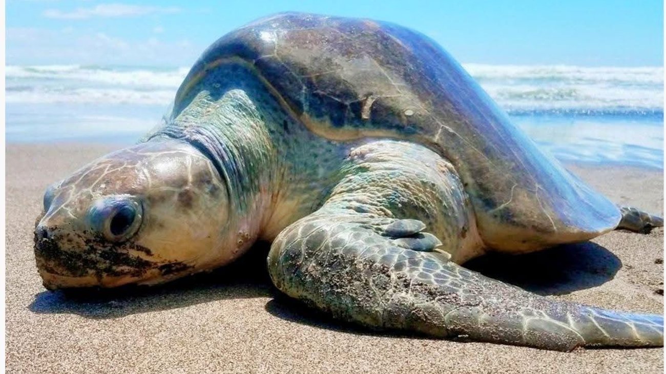 IMG_20260330_WA_0165_ce5a93437f