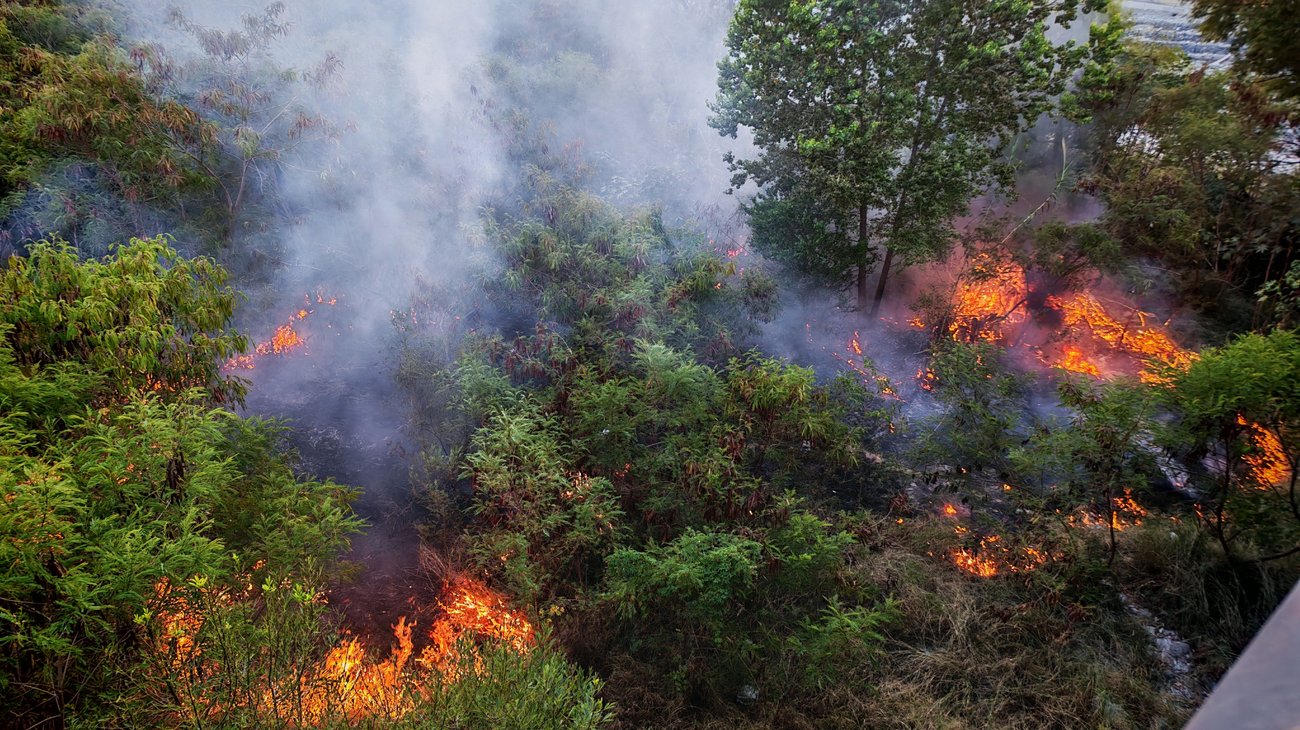 Incendio moviliza a cuerpos de auxilio en el río Santa Catarina