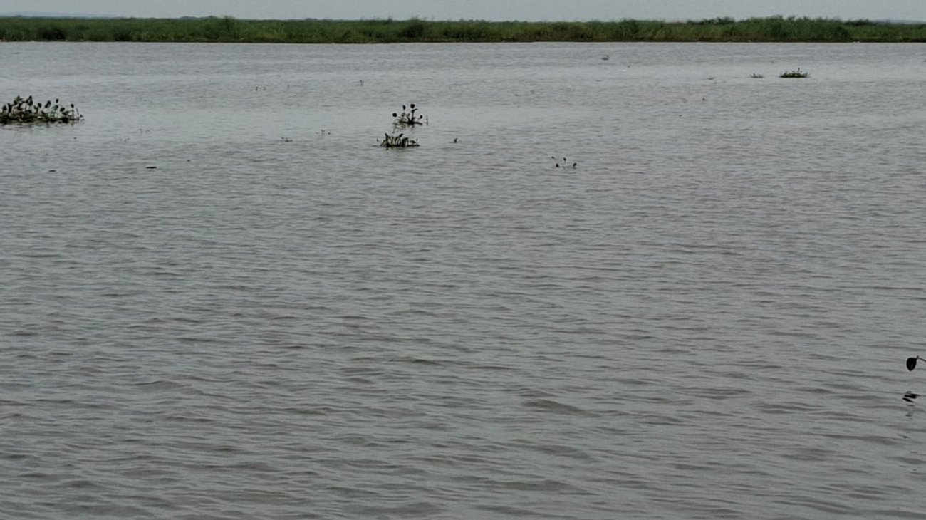 Proyecto Génesis suministrará agua a industria de Altamira