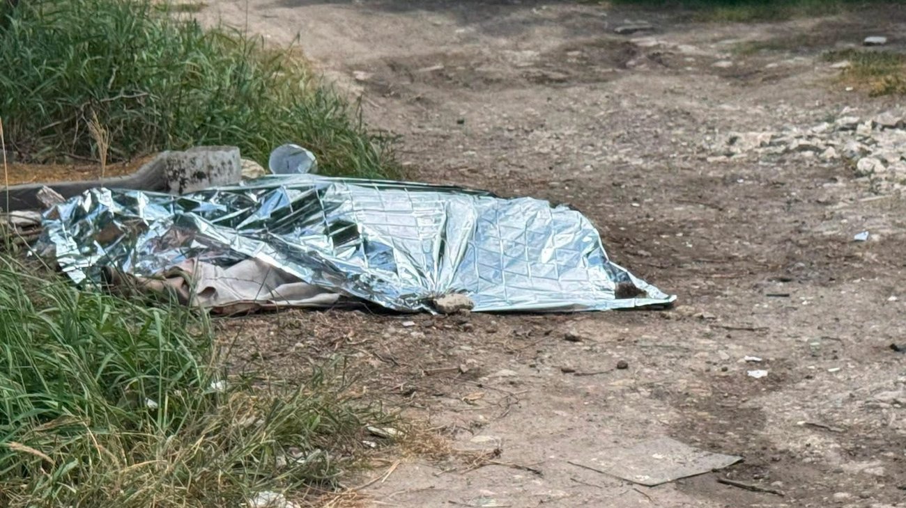 Fatal ataque de abejas cobra la vida de un adulto mayor