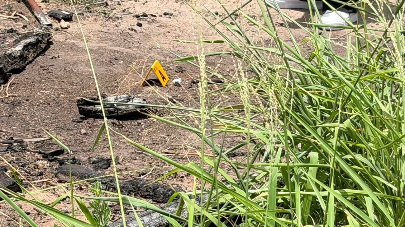 Buscadoras reportan hallazgo de restos humanos en Matamoros