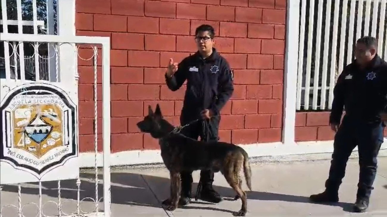 Operativo mochila vuelve al debate tras amenazas en escuelas