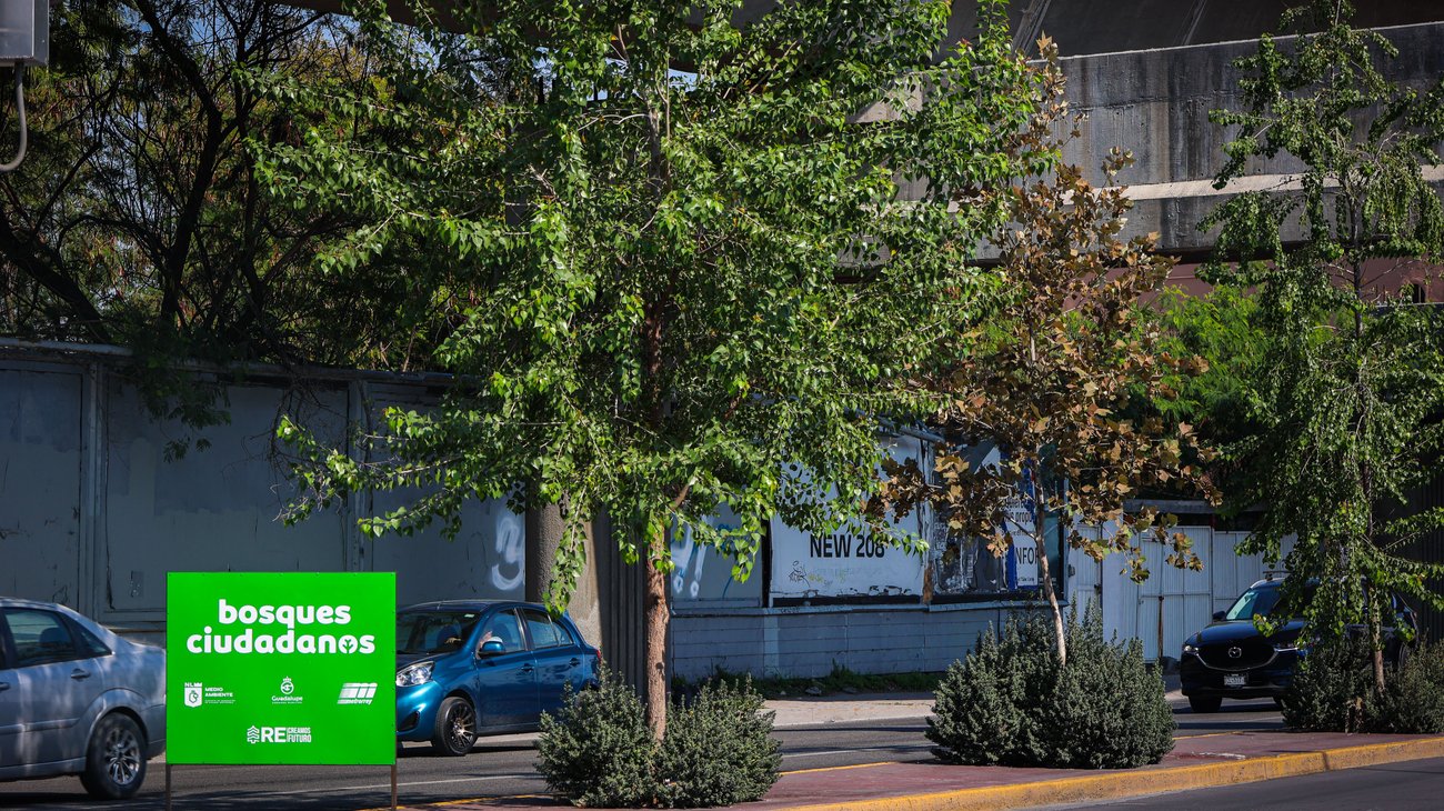 IMG_3498_2_c130a57274