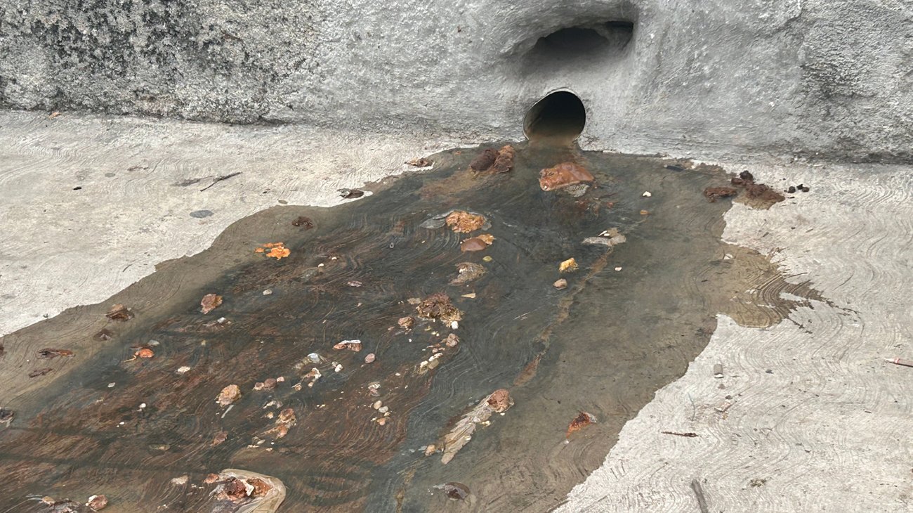 Vecinos denuncian foco de infección por drenaje en Guadalupe