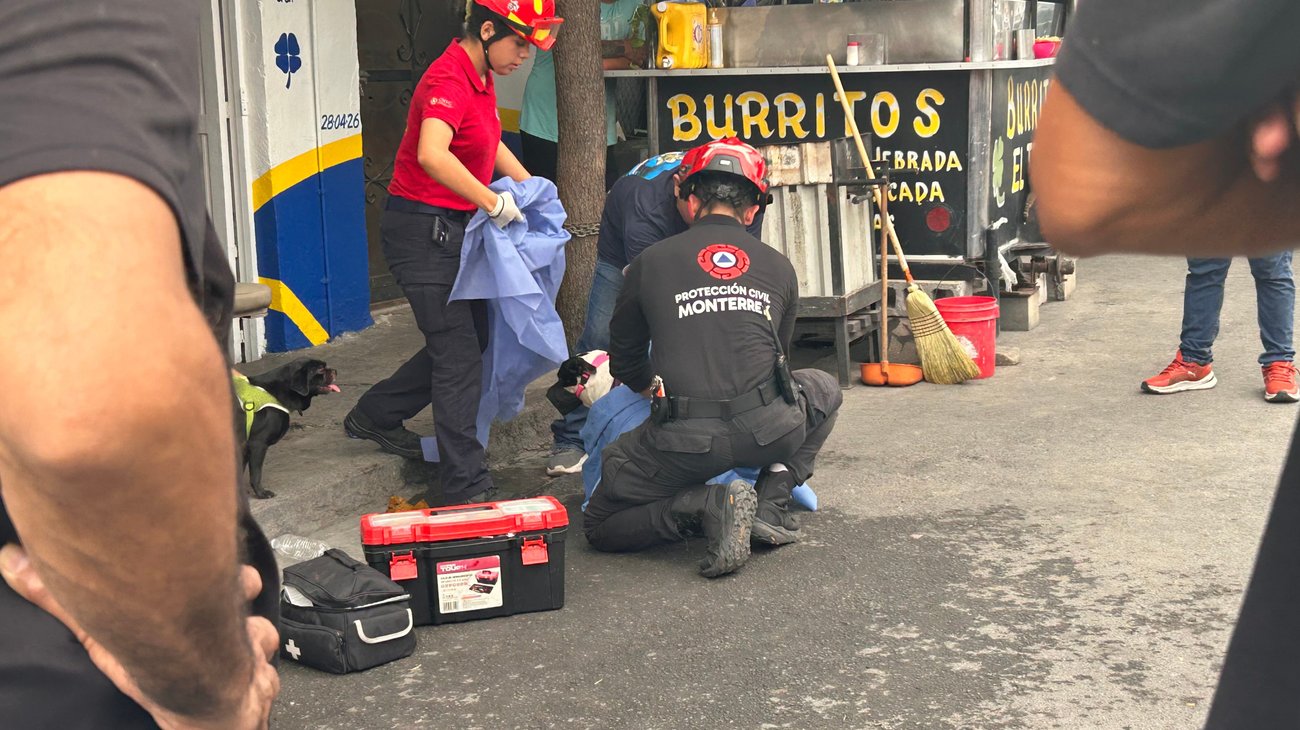 Ataque de abejas deja ocho personas lesionadas en Monterrey
