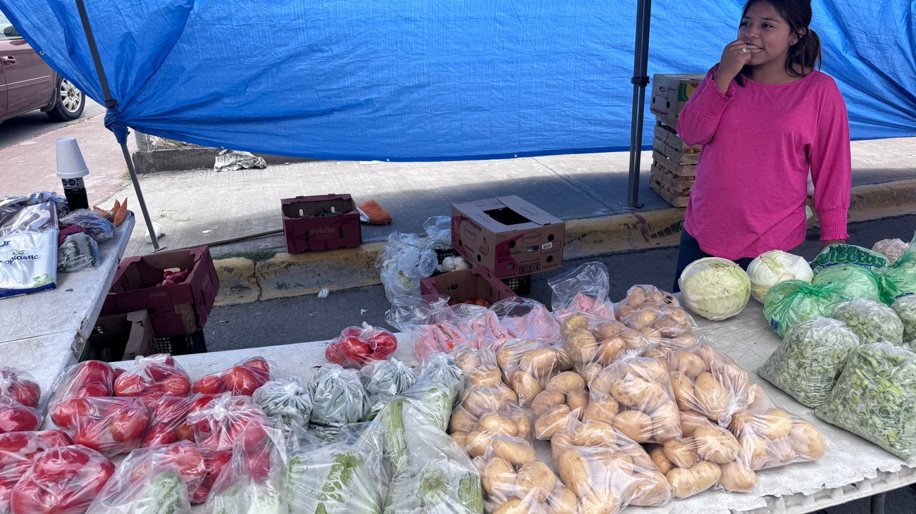 Carestía obliga a comerciantes a recortar inversión en tianguis