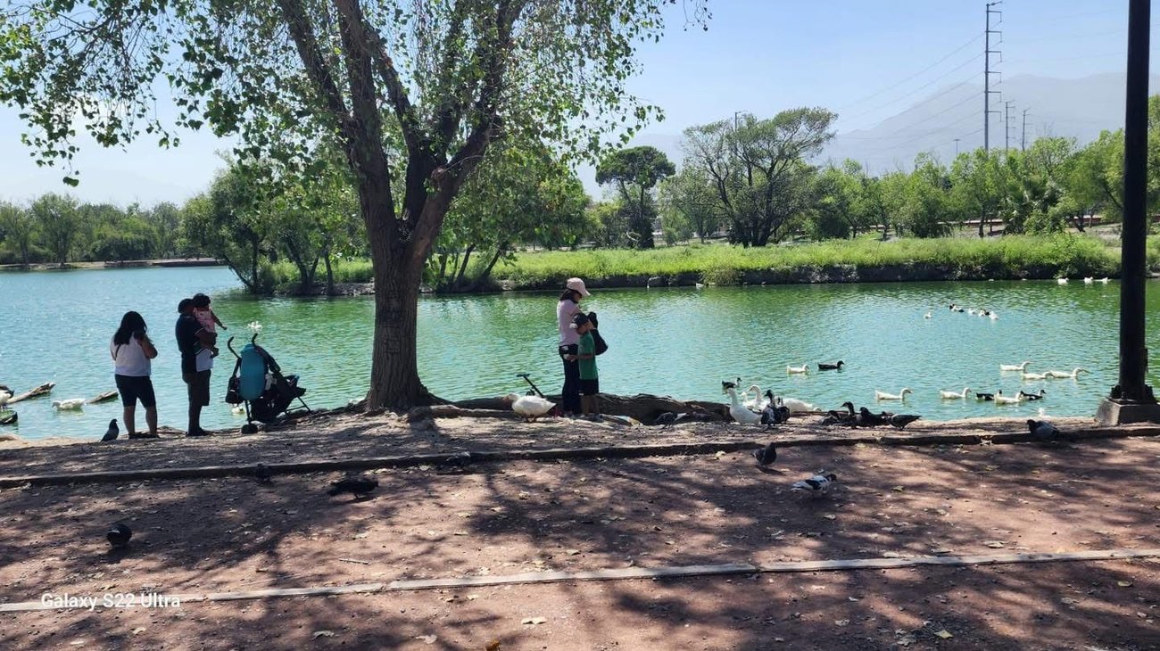 Cursos de verano apoyan a familias en vacaciones escolares