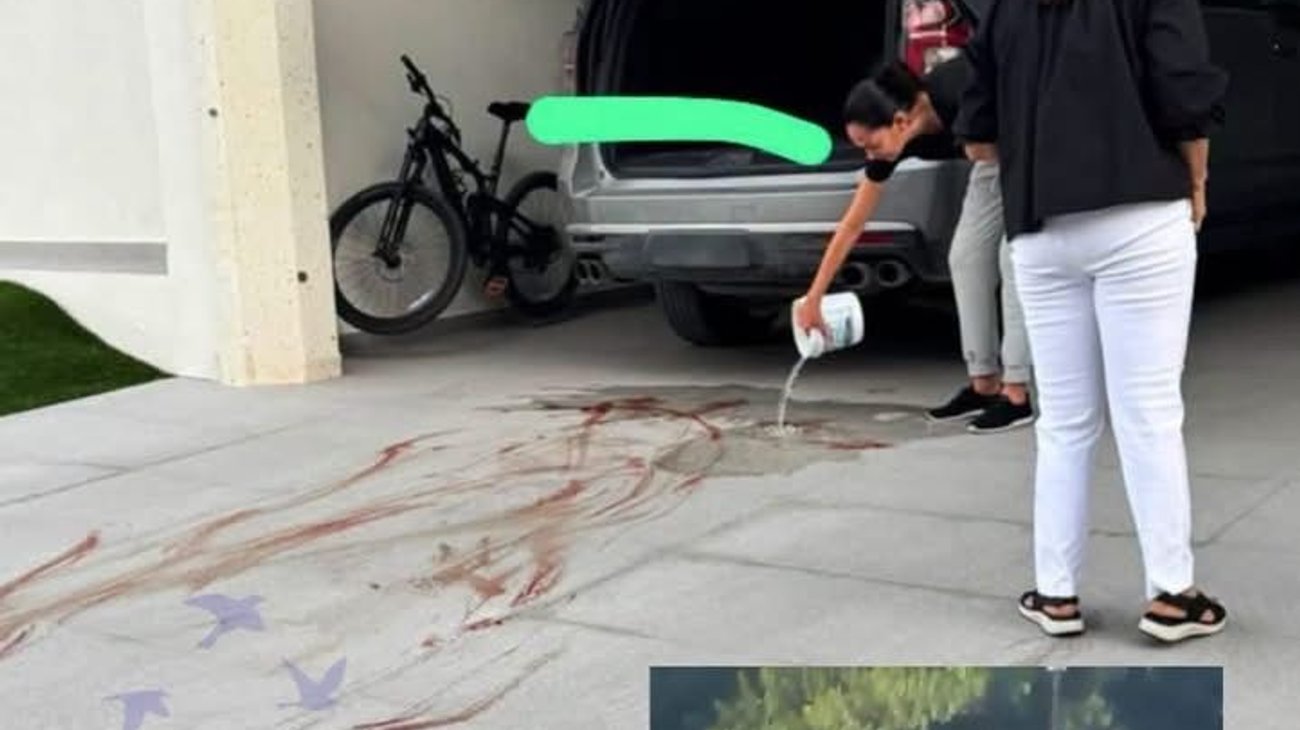 Fiscalía investiga presunto maltrato contra Rocky en Saltillo