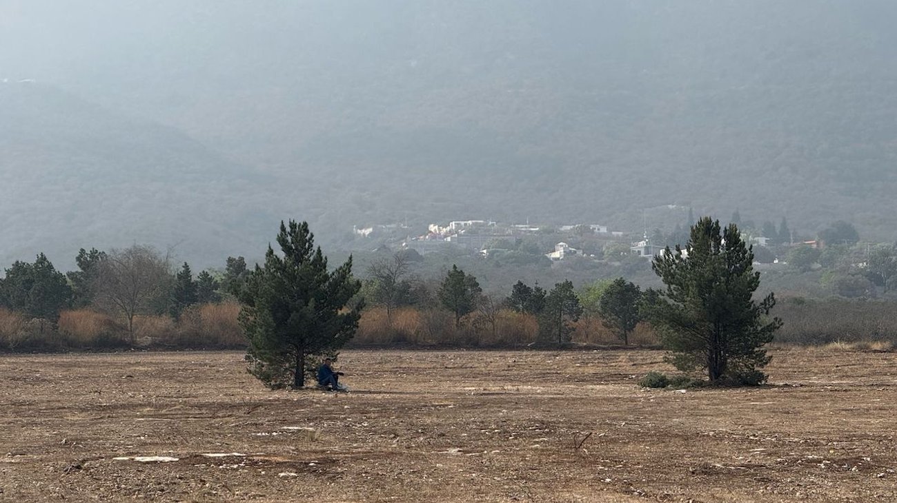 Presentan 7 denuncias por desmontes irregulares en Zapalinamé