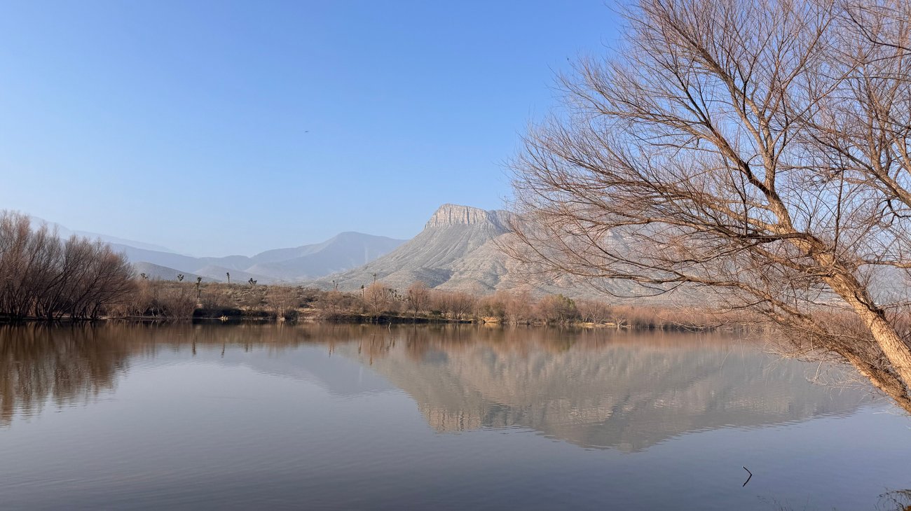 Búsqueda sin resultados de cocodrilos en presa Palo Blanco