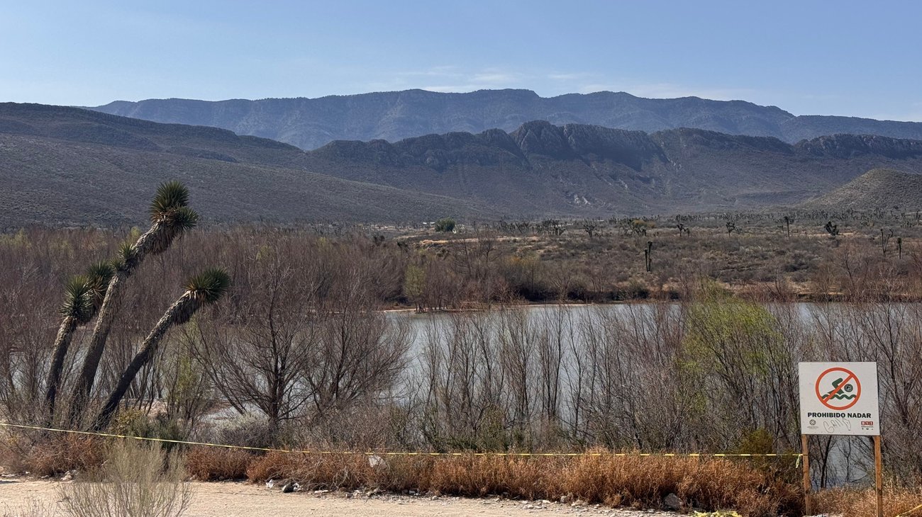 Ramos Arizpe vigila presa tras captura de cocodrilo
