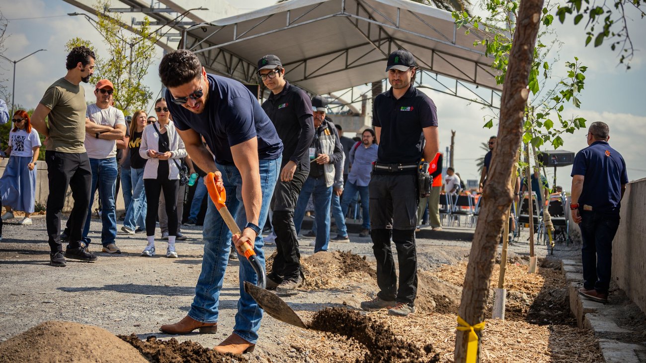 Pintan de verde la ruta mundialista: Plantan 5,000 árboles