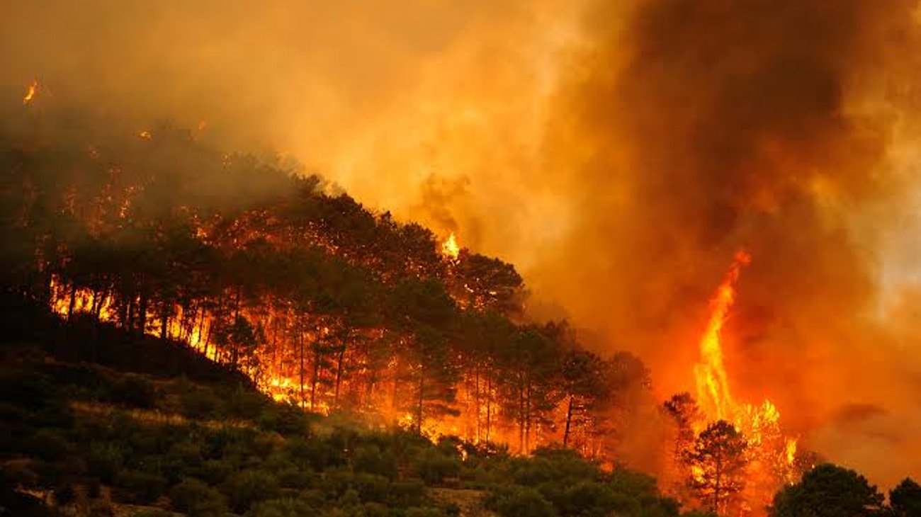 Incendio en España alcanza perímetro de 8 mil hectáreas