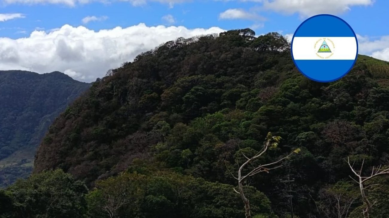 Animales exoticos fueron exportados hacia Nicaragua en enero