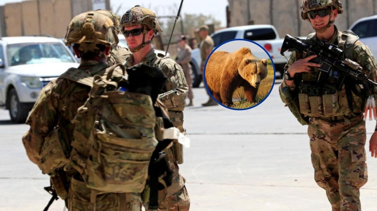 Ataque de oso deja dos militares heridos en Alaska