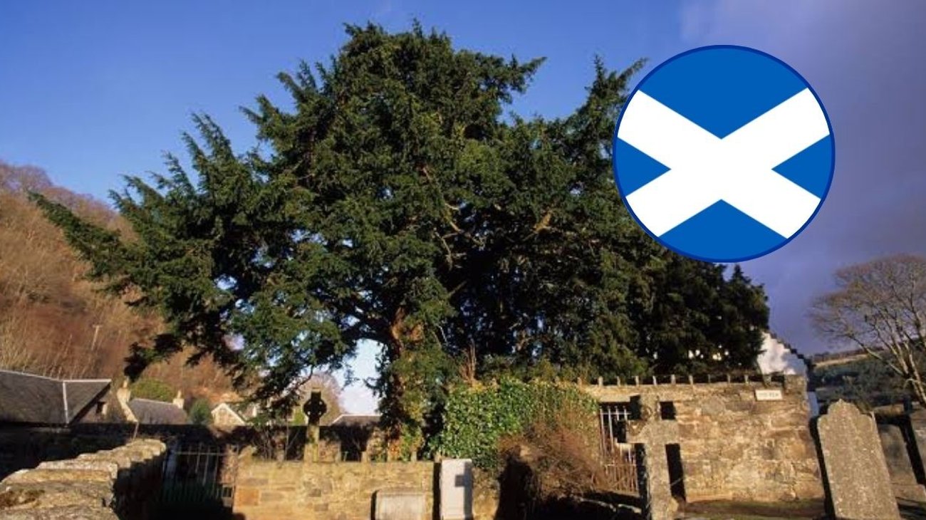 Un árbol mata a un hombre en Escocia durante la borrasca Boelo