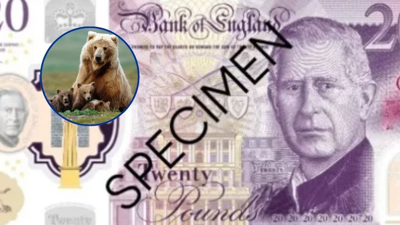 Reino Unido cambiará figuras históricas por animales en billetes