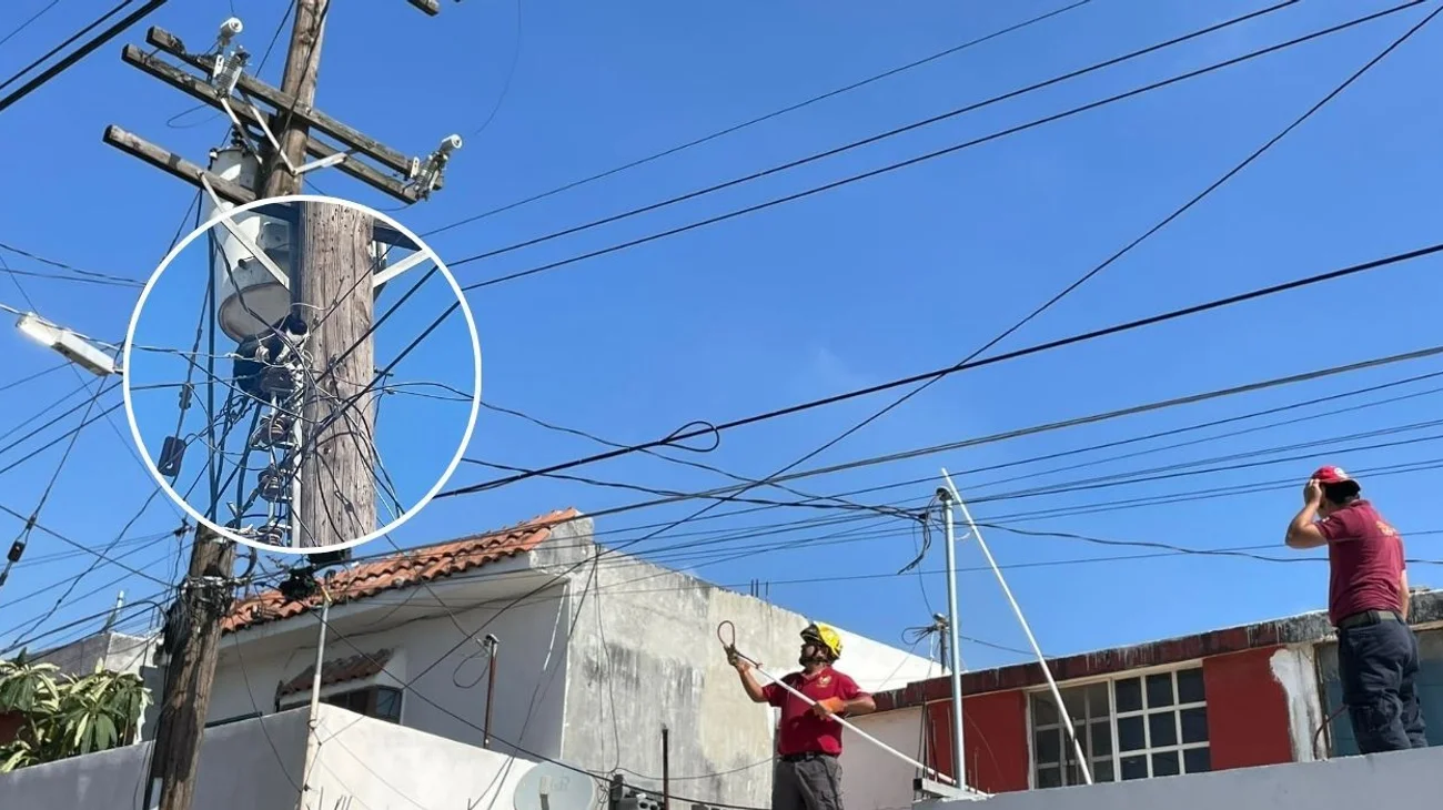 Rescatan a gatita atrapada entre cables en Escobedo