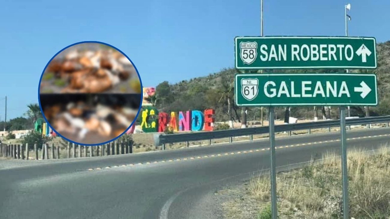 Cae rayo y causa muerte de 38 cabras en ejido de Galeana