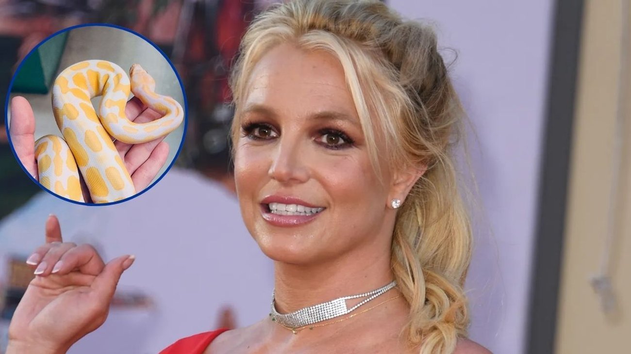 Britney Spears habla de 'viaje espiritual' tras acuerdo por DUI