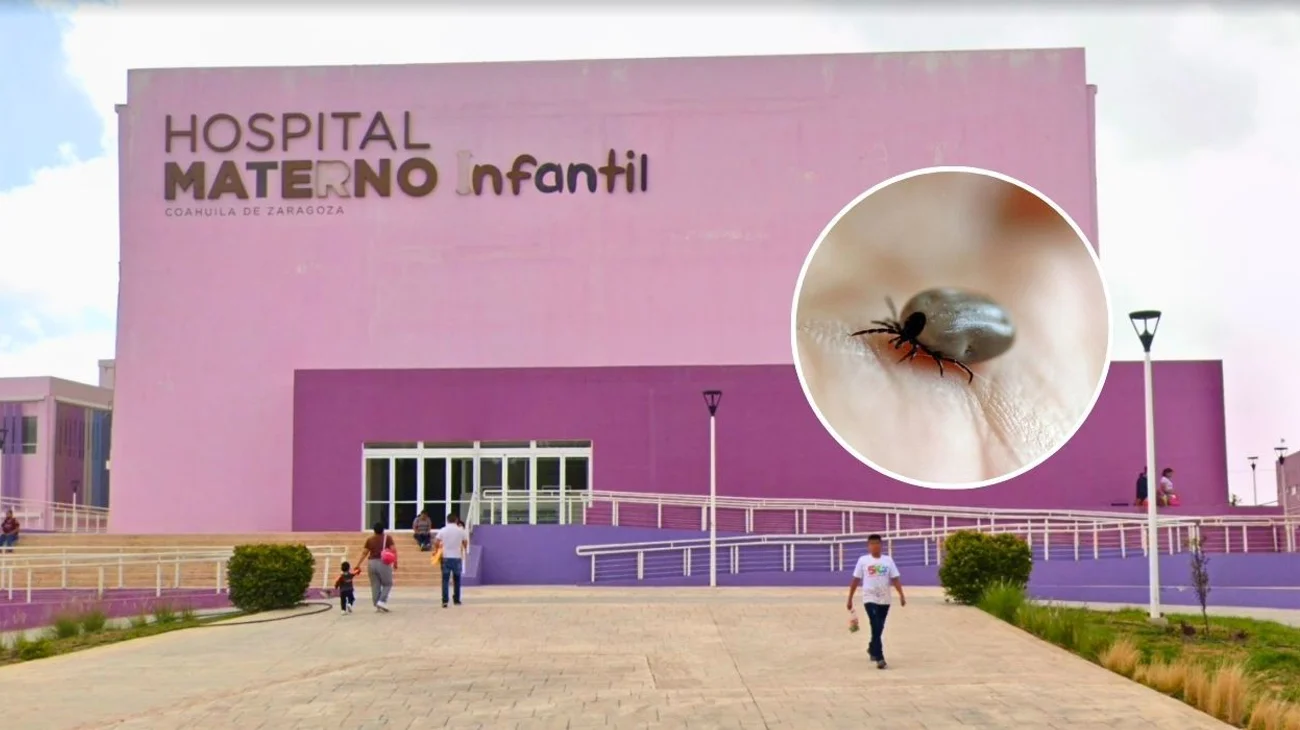 Muere niño por mordida de garrapata en hospital de Saltillo
